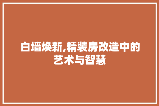 白墙焕新,精装房改造中的艺术与智慧