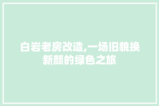 白岩老房改造,一场旧貌换新颜的绿色之旅 厨房维修