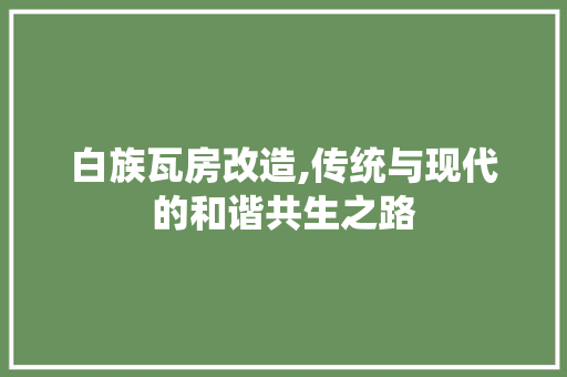 白族瓦房改造,传统与现代的和谐共生之路 家电维修