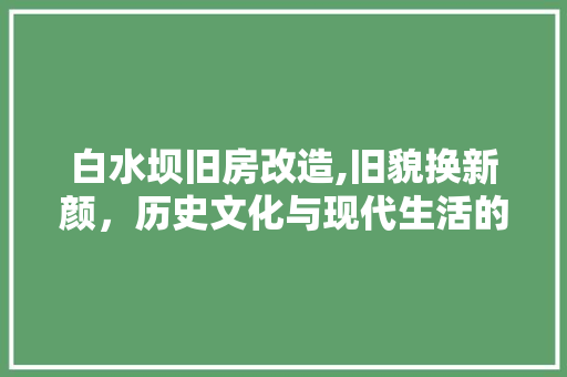 白水坝旧房改造,旧貌换新颜，历史文化与现代生活的和谐共生 家电维修