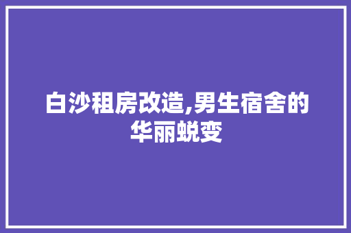 白沙租房改造,男生宿舍的华丽蜕变 居家维修