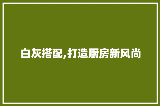 白灰搭配,打造厨房新风尚