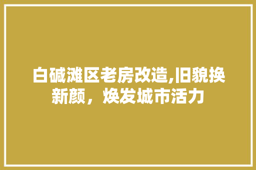 白碱滩区老房改造,旧貌换新颜，焕发城市活力