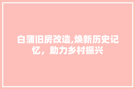 白蒲旧房改造,焕新历史记忆，助力乡村振兴