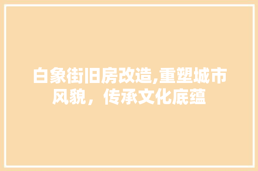 白象街旧房改造,重塑城市风貌，传承文化底蕴