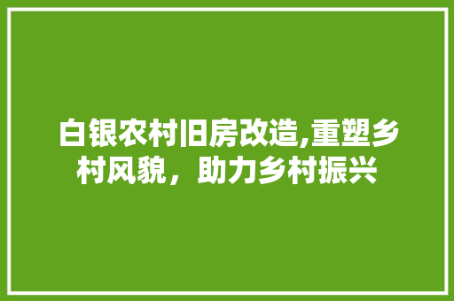 白银农村旧房改造,重塑乡村风貌，助力乡村振兴 家电维修