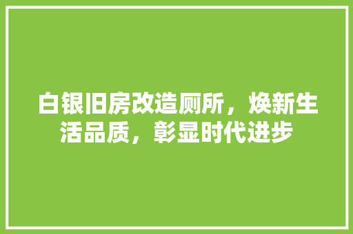 白银旧房改造厕所，焕新生活品质，彰显时代进步