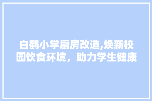 白鹤小学厨房改造,焕新校园饮食环境，助力学生健康成长