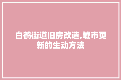 白鹤街道旧房改造,城市更新的生动方法