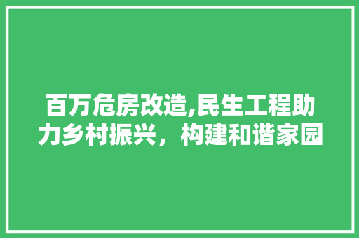 百万危房改造,民生工程助力乡村振兴，构建和谐家园 居家维修