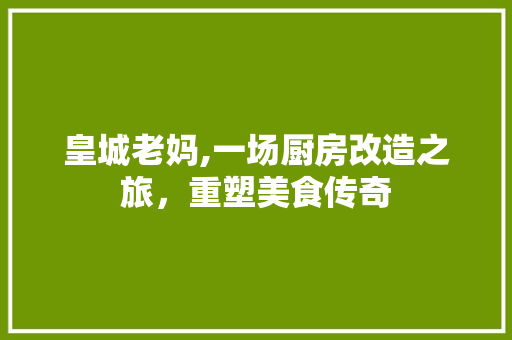 皇城老妈,一场厨房改造之旅，重塑美食传奇 居家维修