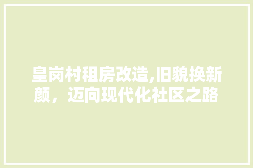 皇岗村租房改造,旧貌换新颜，迈向现代化社区之路 厨房维修