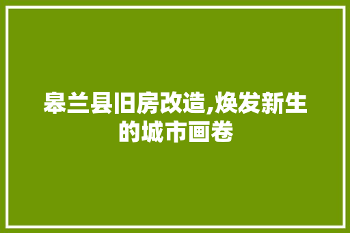 皋兰县旧房改造,焕发新生的城市画卷