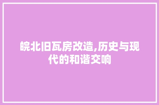 皖北旧瓦房改造,历史与现代的和谐交响 居家维修