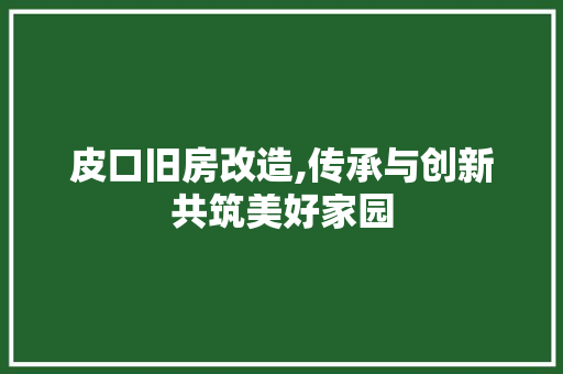 皮口旧房改造,传承与创新共筑美好家园