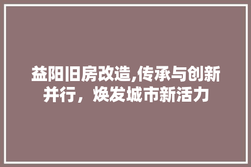 益阳旧房改造,传承与创新并行，焕发城市新活力
