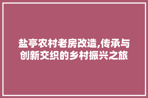 盐亭农村老房改造,传承与创新交织的乡村振兴之旅