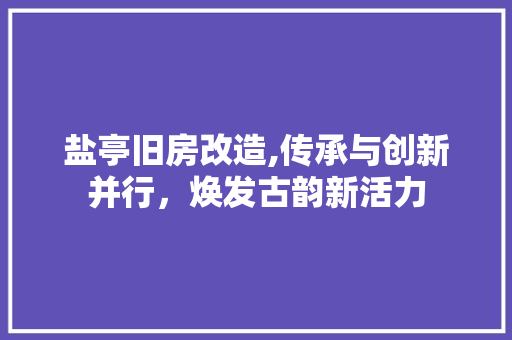 盐亭旧房改造,传承与创新并行，焕发古韵新活力
