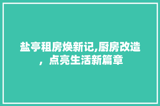 盐亭租房焕新记,厨房改造，点亮生活新篇章