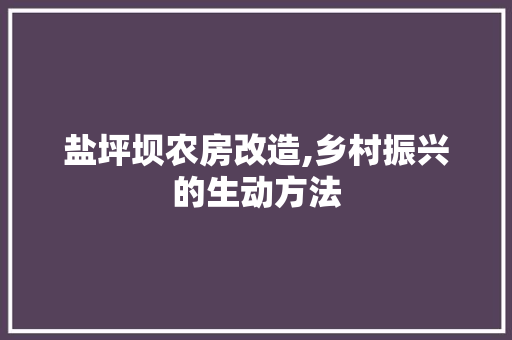 盐坪坝农房改造,乡村振兴的生动方法