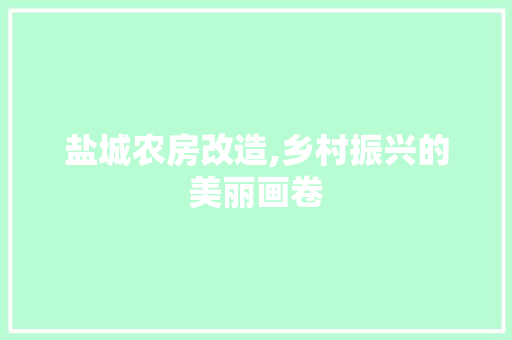 盐城农房改造,乡村振兴的美丽画卷 户内维修