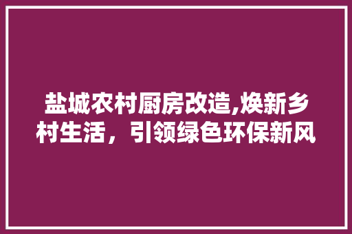 盐城农村厨房改造,焕新乡村生活，引领绿色环保新风尚 户内维修