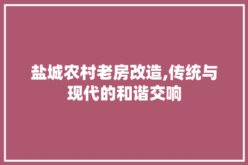 盐城农村老房改造,传统与现代的和谐交响 家电维修