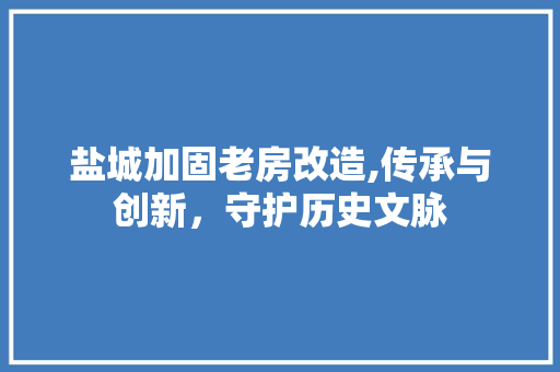 盐城加固老房改造,传承与创新，守护历史文脉