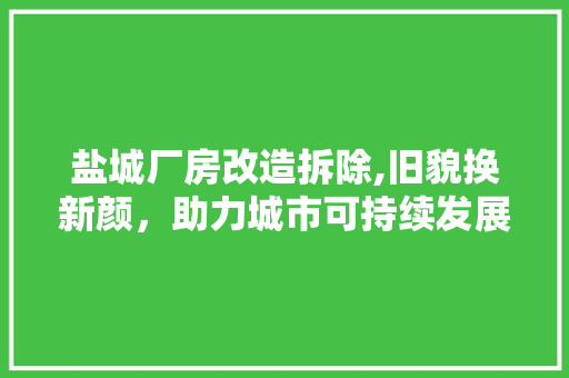 盐城厂房改造拆除,旧貌换新颜，助力城市可持续发展