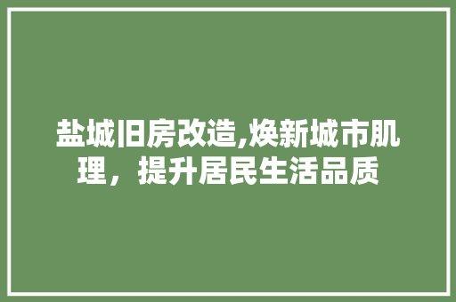 盐城旧房改造,焕新城市肌理，提升居民生活品质