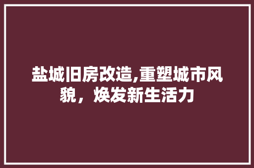 盐城旧房改造,重塑城市风貌，焕发新生活力