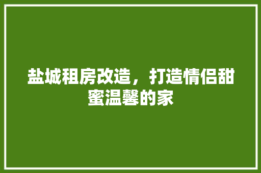 盐城租房改造，打造情侣甜蜜温馨的家