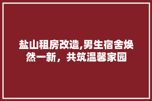 盐山租房改造,男生宿舍焕然一新，共筑温馨家园