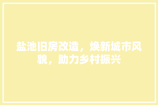 盐池旧房改造，焕新城市风貌，助力乡村振兴
