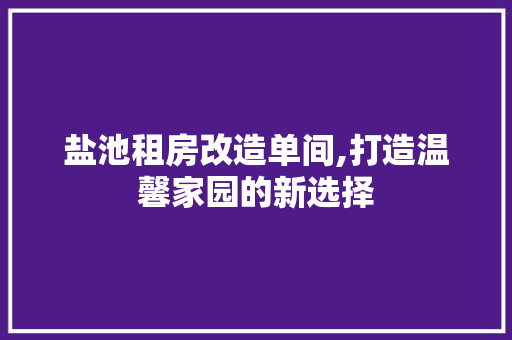 盐池租房改造单间,打造温馨家园的新选择