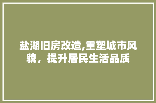 盐湖旧房改造,重塑城市风貌，提升居民生活品质