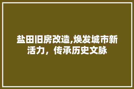 盐田旧房改造,焕发城市新活力，传承历史文脉