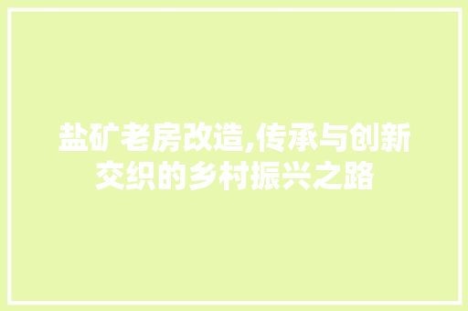 盐矿老房改造,传承与创新交织的乡村振兴之路