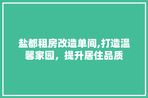 盐都租房改造单间,打造温馨家园，提升居住品质