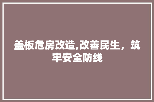 盖板危房改造,改善民生，筑牢安全防线