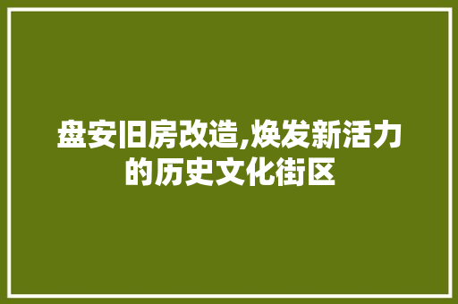 盘安旧房改造,焕发新活力的历史文化街区