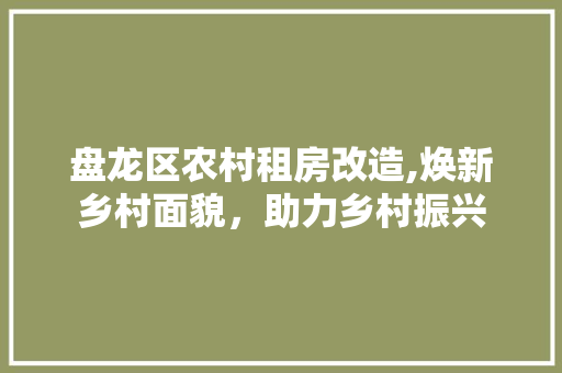 盘龙区农村租房改造,焕新乡村面貌，助力乡村振兴