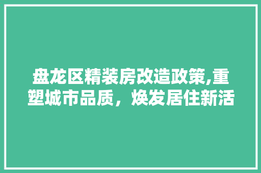 盘龙区精装房改造政策,重塑城市品质，焕发居住新活力
