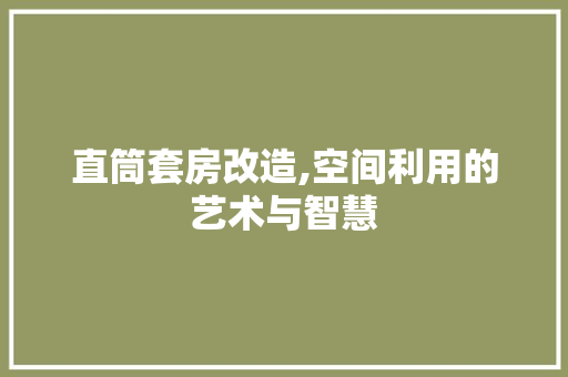 直筒套房改造,空间利用的艺术与智慧