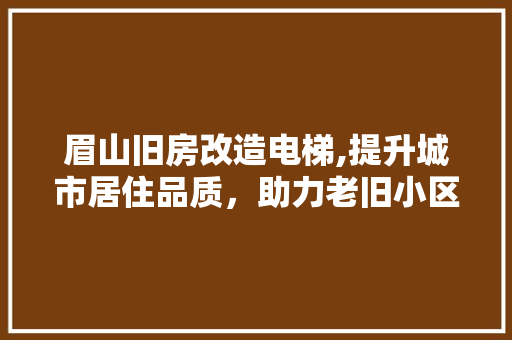 眉山旧房改造电梯,提升城市居住品质，助力老旧小区焕发新生