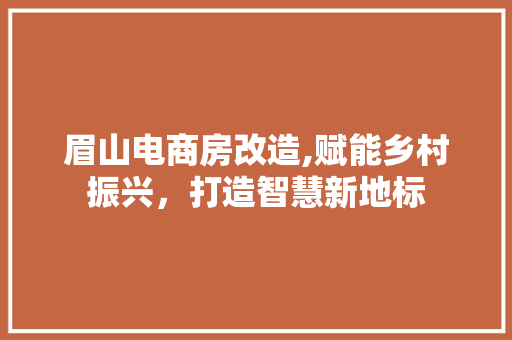 眉山电商房改造,赋能乡村振兴，打造智慧新地标