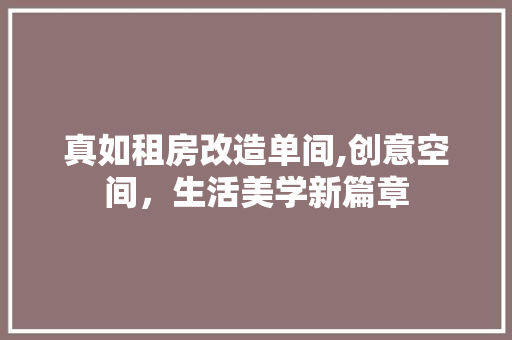 真如租房改造单间,创意空间，生活美学新篇章