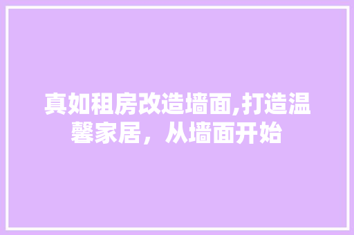 真如租房改造墙面,打造温馨家居，从墙面开始