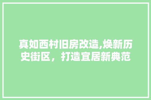 真如西村旧房改造,焕新历史街区，打造宜居新典范