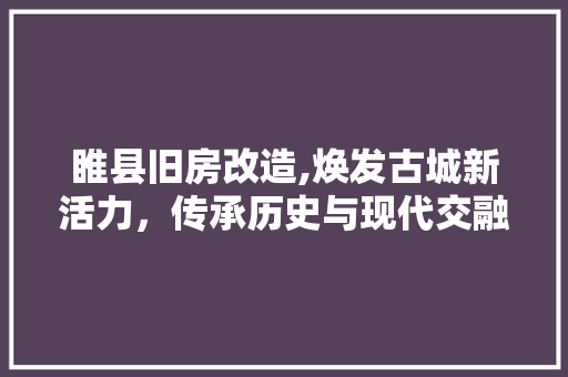 睢县旧房改造,焕发古城新活力，传承历史与现代交融的智慧之光